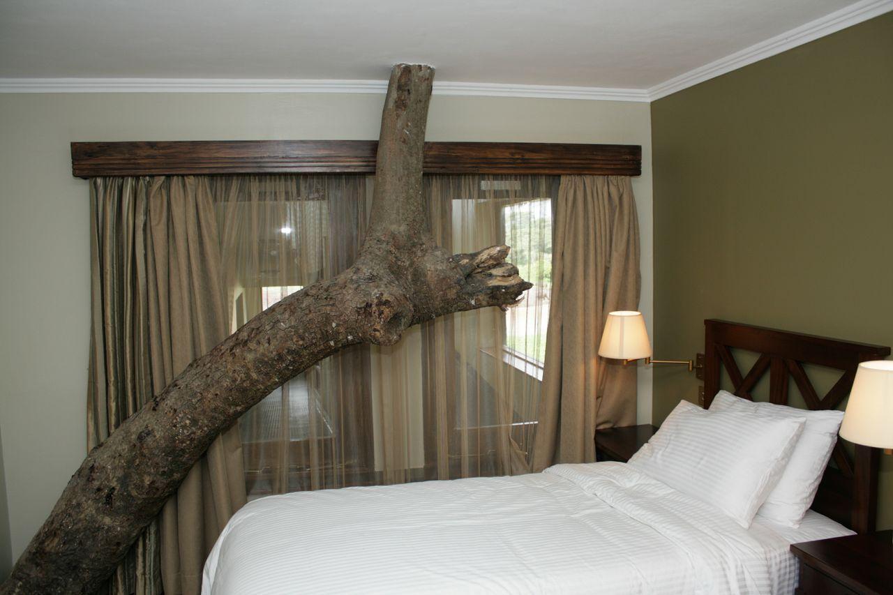 Treetops Mweiga Habitación foto