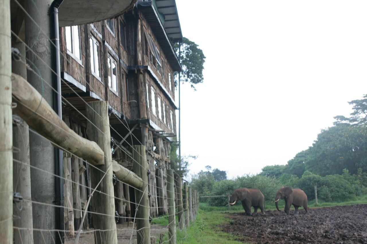 Treetops Mweiga Exterior foto