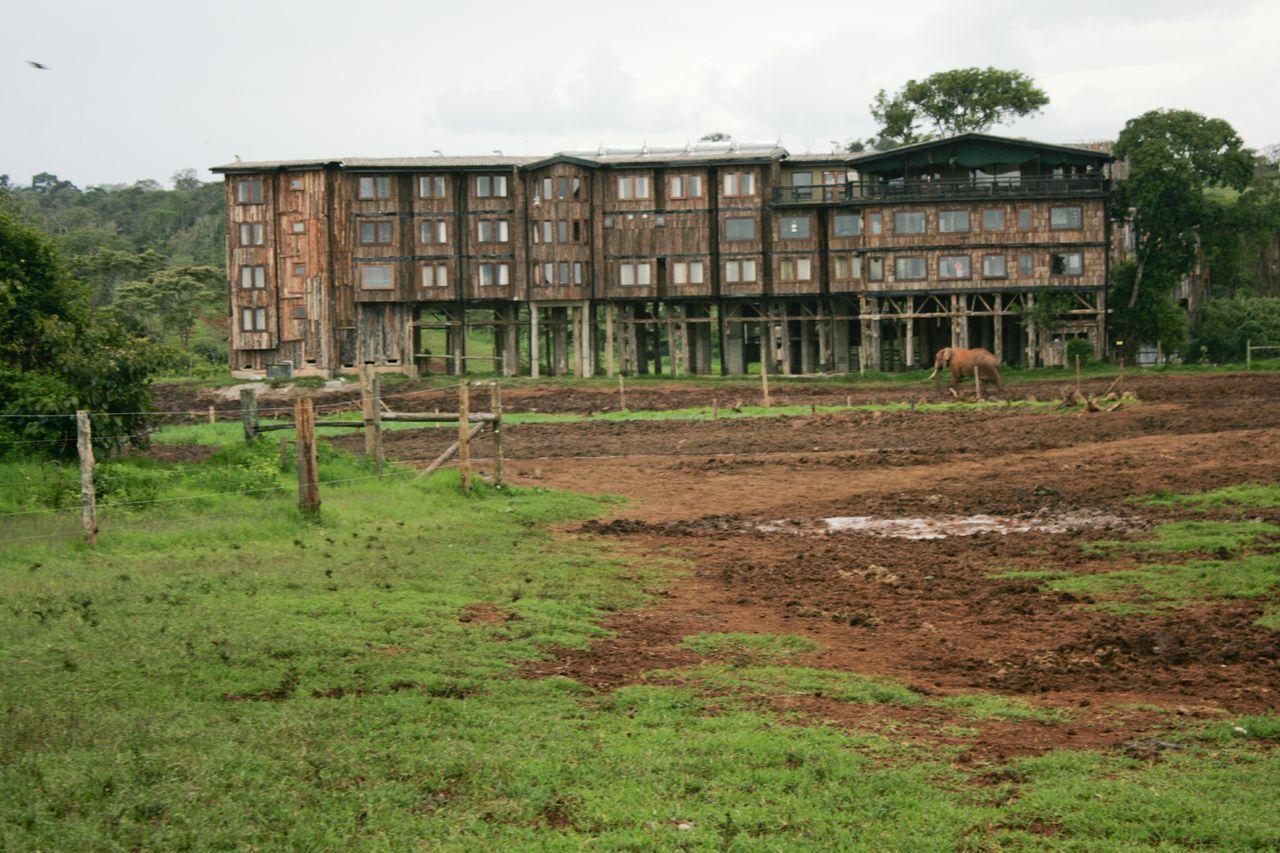 Treetops Mweiga Exterior foto