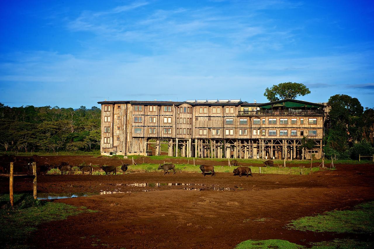 Treetops Mweiga Exterior foto