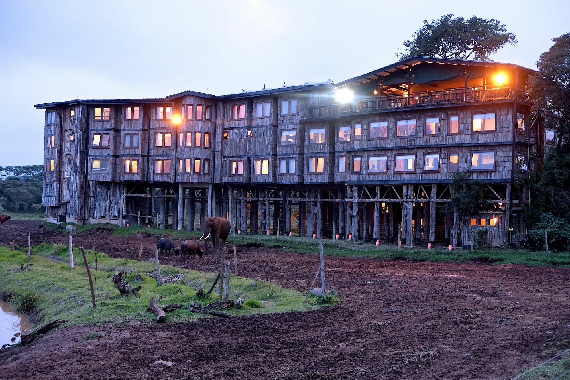 Treetops Mweiga Exterior foto