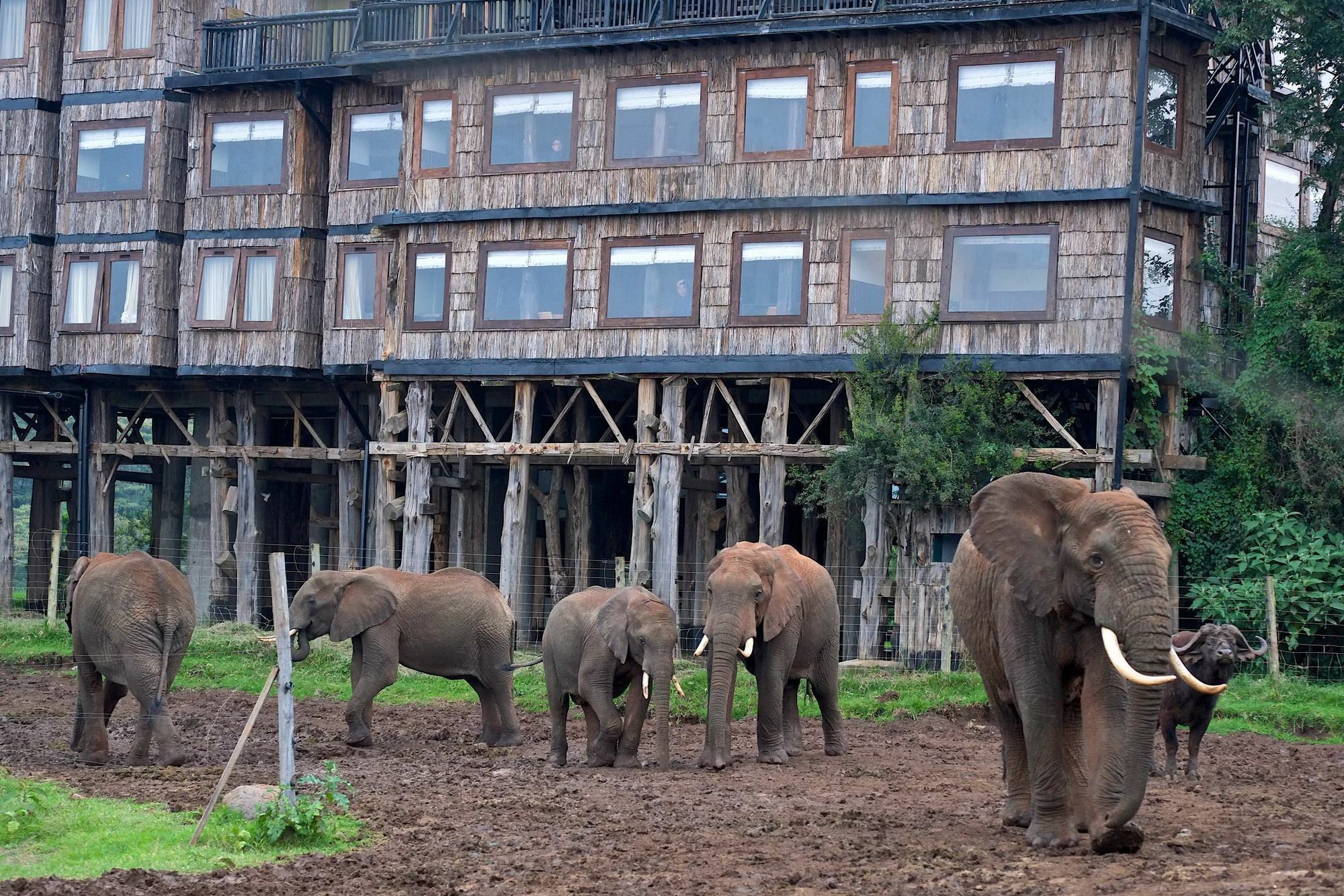 Treetops Mweiga Exterior foto